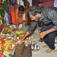 Sunil New Movie Opening Photos | Picture 805516