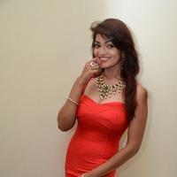Aswini Pictures Gallery | Picture 806273