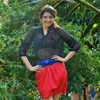 Kajal Agarwal New Hot Photos | Picture 806594