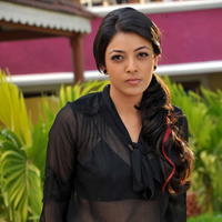 Kajal Agarwal New Hot Photos | Picture 806606