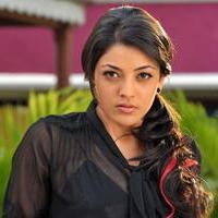 Kajal Agarwal New Hot Photos | Picture 806613