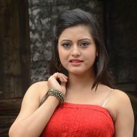 Shipra Gaur Pictures Gallery | Picture 810159