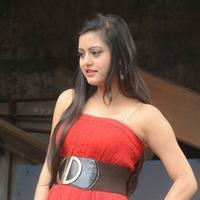 Shipra Gaur Pictures Gallery | Picture 810181