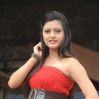 Shipra Gaur Pictures Gallery | Picture 810182