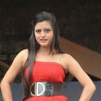 Shipra Gaur Pictures Gallery | Picture 810183