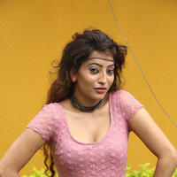 Alanki Spicy Stills | Picture 811166