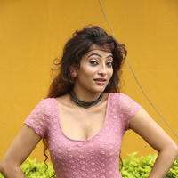 Alanki Spicy Stills | Picture 811170