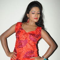 Mamatha Ravath at Panchamukhi Movie Audio Launch Stills | Picture 810621