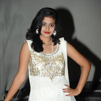 Megha Sri at Panchamukhi Movie Audio Launch Stills | Picture 810385