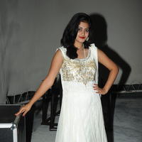 Megha Sri at Panchamukhi Movie Audio Launch Stills | Picture 810401