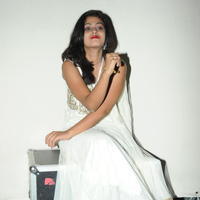 Megha Sri at Panchamukhi Movie Audio Launch Stills | Picture 810418