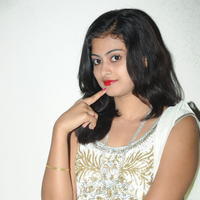 Megha Sri at Panchamukhi Movie Audio Launch Stills | Picture 810440