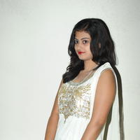 Megha Sri at Panchamukhi Movie Audio Launch Stills | Picture 810451