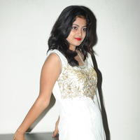 Megha Sri at Panchamukhi Movie Audio Launch Stills | Picture 810454