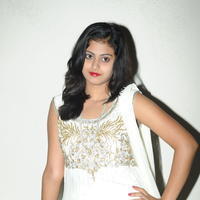 Megha Sri at Panchamukhi Movie Audio Launch Stills | Picture 810461