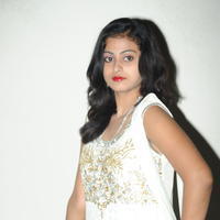 Megha Sri at Panchamukhi Movie Audio Launch Stills | Picture 810465