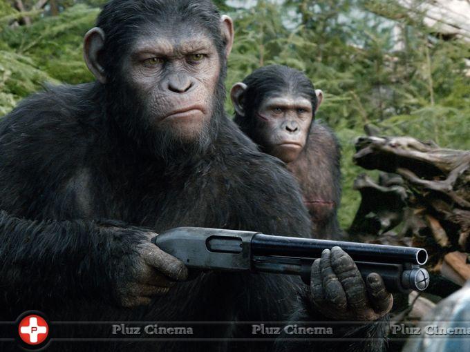 Dawn Of The Planet Of The Apes Movie Photos | Picture 772928
