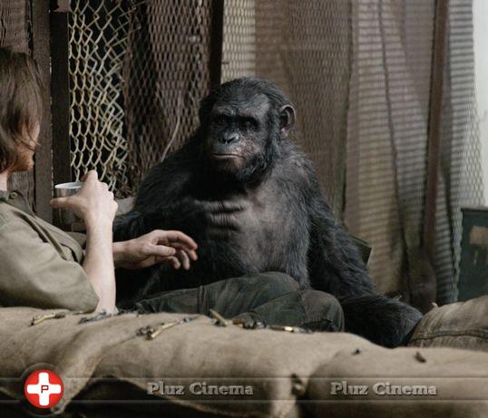 Dawn Of The Planet Of The Apes Movie Photos | Picture 772929