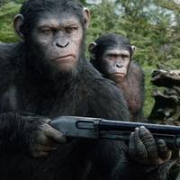 Dawn Of The Planet Of The Apes Movie Photos | Picture 772928