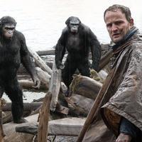 Dawn Of The Planet Of The Apes Movie Photos | Picture 772930
