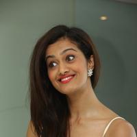 Shubra Aiyappa - Heroines at SIIMA Awards 2014 Pre Party Stills | Picture 780065