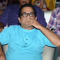 Brahmanandam - Geethanjali Movie Audio Launch Photos | Picture 781112