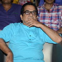 Brahmanandam - Geethanjali Movie Audio Launch Photos | Picture 781115