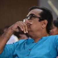 Brahmanandam - Geethanjali Movie Audio Launch Photos | Picture 781274