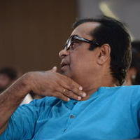 Brahmanandam - Geethanjali Movie Audio Launch Photos | Picture 781279