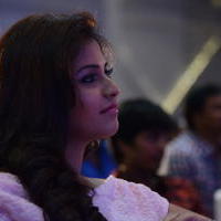 Anjali (Actress) - Geethanjali Movie Audio Launch Photos | Picture 781294