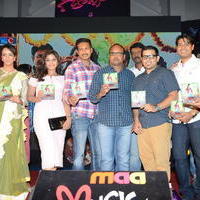 Geethanjali Movie Audio Launch Photos | Picture 781479