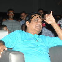 Brahmanandam - Geethanjali Movie Audio Launch Photos | Picture 781137