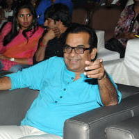 Brahmanandam - Geethanjali Movie Audio Launch Photos | Picture 781239