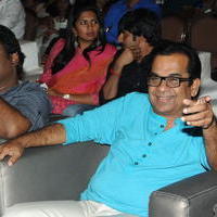 Brahmanandam - Geethanjali Movie Audio Launch Photos | Picture 781240
