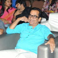 Brahmanandam - Geethanjali Movie Audio Launch Photos | Picture 781241