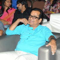 Brahmanandam - Geethanjali Movie Audio Launch Photos | Picture 781242