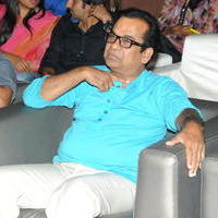 Brahmanandam - Geethanjali Movie Audio Launch Photos | Picture 781243