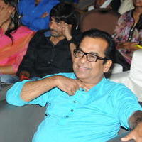 Brahmanandam - Geethanjali Movie Audio Launch Photos | Picture 781244