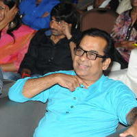 Brahmanandam - Geethanjali Movie Audio Launch Photos | Picture 781245