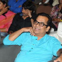 Brahmanandam - Geethanjali Movie Audio Launch Photos | Picture 781246