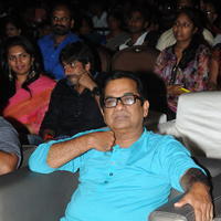 Brahmanandam - Geethanjali Movie Audio Launch Photos | Picture 781249