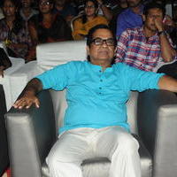 Brahmanandam - Geethanjali Movie Audio Launch Photos | Picture 781262