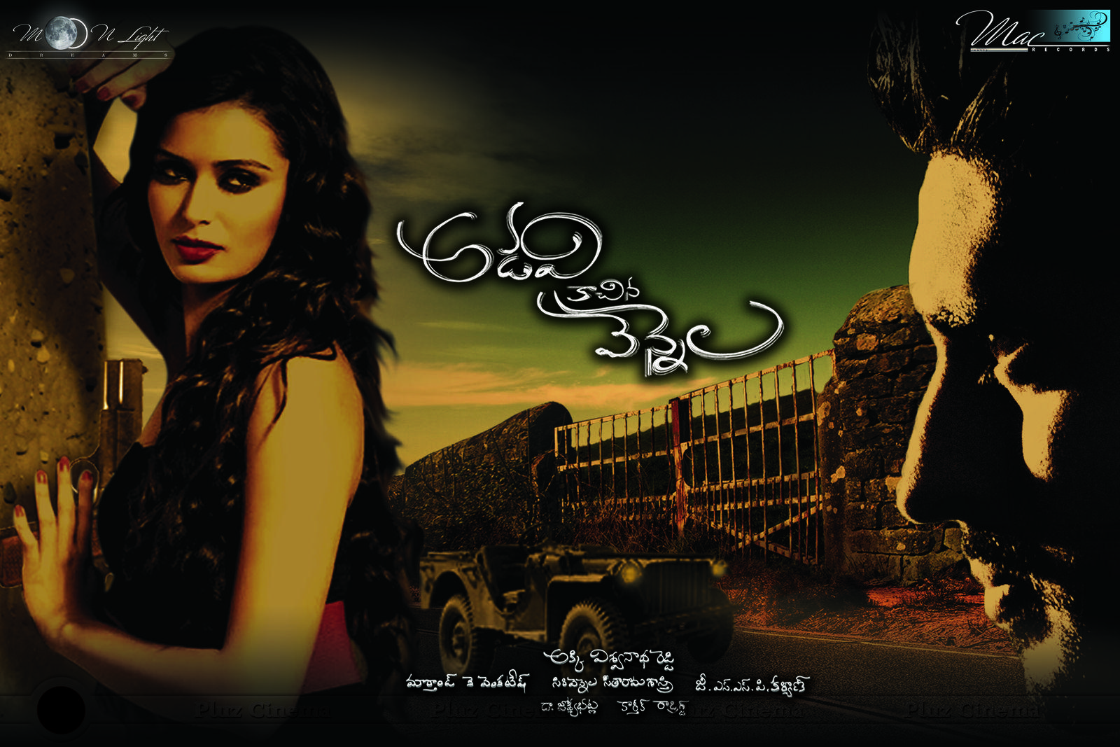 Adavi Kachina Vennela Movie New Posters | Picture 780502