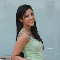 Priya Anand Cute Photos | Picture 782436