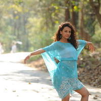 Run Raja Run Heroine Seerat Kapoor Stills | Picture 784385