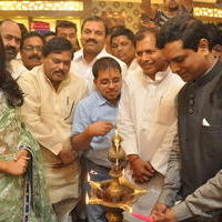 Anjali (Actress) - Anjali Launches Priyanka Shopping Mall Stills | Picture 762546