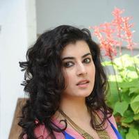 Archana Latest Gallery | Picture 817477