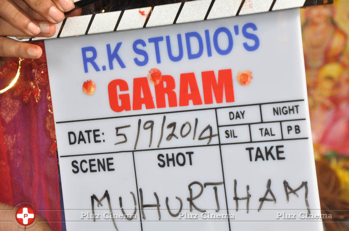 Garam Movie Opening Stills | Picture 818441