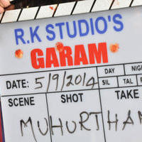 Garam Movie Opening Stills | Picture 818441
