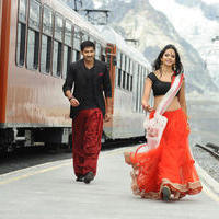 Loukyam Movie Gallery | Picture 821363